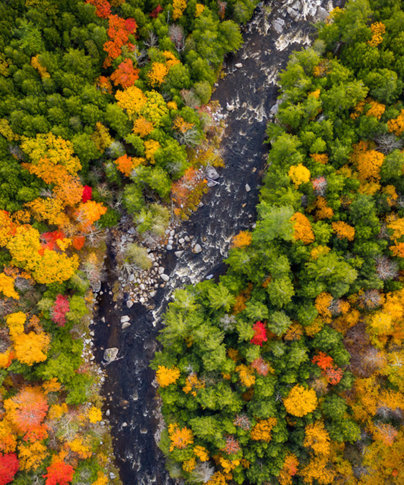 fall-aerial