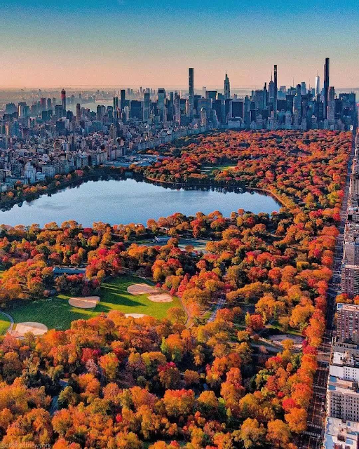 Central Park surrounded by autumn colors